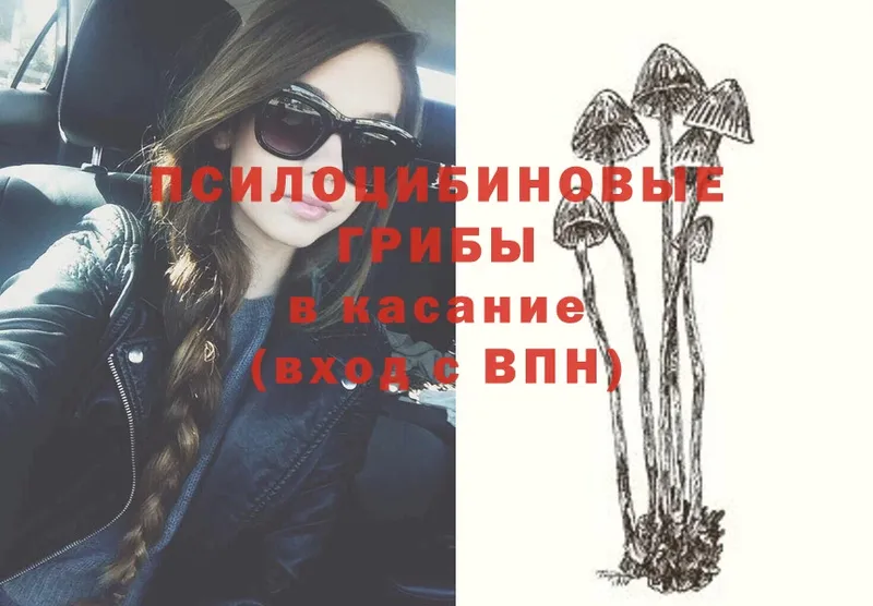 ОМГ ОМГ как зайти  Анива  Галлюциногенные грибы Psilocybe 